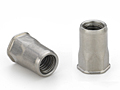 Thin head, semihex body, stainless - Type AETHC
