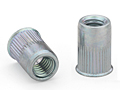 Thin head, knurled, round body – Type AETK
